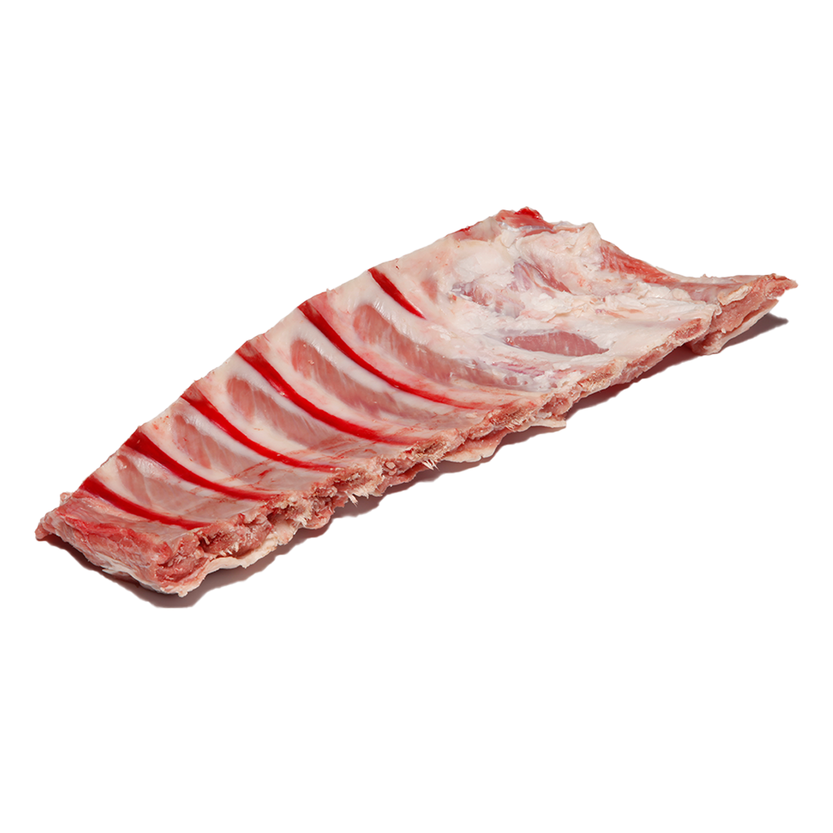 Brinje anesore te vicit 12/ca.0,8kg 508