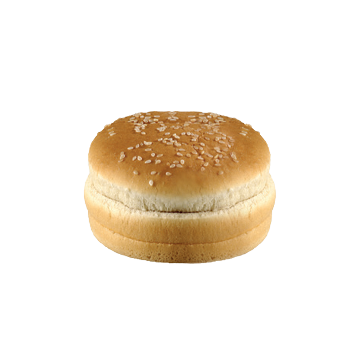 BurgerBun Big Sesame 1.78kg(24*74g)-125